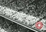 Image of Inaugural baseball All Star Game Chicago Illinois USA, 1933, second 32 stock footage video 65675022449