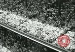 Image of Inaugural baseball All Star Game Chicago Illinois USA, 1933, second 34 stock footage video 65675022449