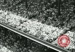 Image of Inaugural baseball All Star Game Chicago Illinois USA, 1933, second 36 stock footage video 65675022449