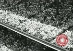 Image of Inaugural baseball All Star Game Chicago Illinois USA, 1933, second 37 stock footage video 65675022449