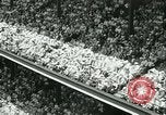 Image of Inaugural baseball All Star Game Chicago Illinois USA, 1933, second 41 stock footage video 65675022449