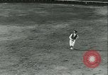 Immagine di La corrida Mont-De-Marsan Francia, 1933, secondo 23 filmato di repertorio 65675022452
