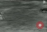 Immagine di La corrida Mont-De-Marsan Francia, 1933, secondo 30 filmato di repertorio 65675022452