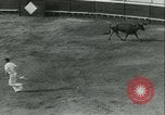 Immagine di La corrida Mont-De-Marsan Francia, 1933, secondo 36 filmato di repertorio 65675022452