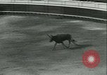 Immagine di La corrida Mont-De-Marsan Francia, 1933, secondo 40 filmato di repertorio 65675022452