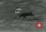 Immagine di La corrida Mont-De-Marsan Francia, 1933, secondo 42 filmato di repertorio 65675022452