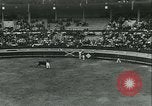 Immagine di La corrida Mont-De-Marsan Francia, 1933, secondo 52 filmato di repertorio 65675022452
