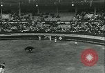 Immagine di La corrida Mont-De-Marsan Francia, 1933, secondo 55 filmato di repertorio 65675022452