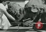 Image of school children Long Beach California USA, 1933, second 48 stock footage video 65675022455