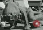 Image of school children Long Beach California USA, 1933, second 50 stock footage video 65675022455