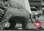 Image of school children Long Beach California USA, 1933, second 51 stock footage video 65675022455