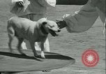 Image of school children Long Beach California USA, 1933, second 58 stock footage video 65675022455