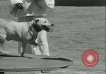 Image of school children Long Beach California USA, 1933, second 60 stock footage video 65675022455