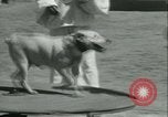 Image of school children Long Beach California USA, 1933, second 61 stock footage video 65675022455