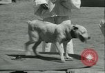 Image of school children Long Beach California USA, 1933, second 62 stock footage video 65675022455