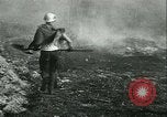 Standbild Forest Fire Forest Grove Oregon USA, 1933, aus Sekunde 52 historischem Filmmaterial Videoclip 65675022456