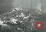 Standbild Forest Fire Forest Grove Oregon USA, 1933, aus Sekunde 58 historischem Filmmaterial Videoclip 65675022456