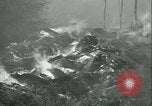 Standbild Forest Fire Forest Grove Oregon USA, 1933, aus Sekunde 59 historischem Filmmaterial Videoclip 65675022456