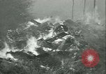 Standbild Forest Fire Forest Grove Oregon USA, 1933, aus Sekunde 60 historischem Filmmaterial Videoclip 65675022456