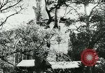 Image Lady Mary Cambridge wedding Balcombe Angleterre, 1931, de la seconde 41 séquences d'archives historiques vidéo 65675022471