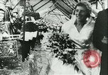 Image Lady Mary Cambridge wedding Balcombe Angleterre, 1931, de la seconde 57 séquences d'archives historiques vidéo 65675022471