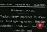 Image rafter de Turquie Sudbury Massachusetts USA, 1931, de la seconde 4 séquences d'archives historiques vidéo 65675022473