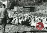Image rafter de Turquie Sudbury Massachusetts USA, 1931, de la seconde 9 séquences d'archives historiques vidéo 65675022473