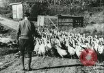 Image rafter de Turquie Sudbury Massachusetts USA, 1931, de la seconde 10 séquences d'archives historiques vidéo 65675022473