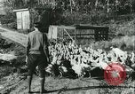 Image rafter de Turquie Sudbury Massachusetts USA, 1931, de la seconde 11 séquences d'archives historiques vidéo 65675022473
