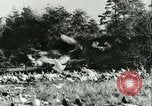 Image rafter de Turquie Sudbury Massachusetts USA, 1931, de la seconde 17 séquences d'archives historiques vidéo 65675022473