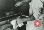 Standbild Marineluftschiff Akron Washington DC USA, 1931, aus Sekunde 51 historischem Filmmaterial Videoclip 65675022476