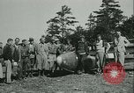 Standbild Motorlose Segelflugzeuge Elmira New York USA, 1931, aus Sekunde 14 historischem Filmmaterial Videoclip 65675022477