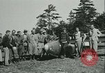 Standbild Motorlose Segelflugzeuge Elmira New York USA, 1931, aus Sekunde 15 historischem Filmmaterial Videoclip 65675022477