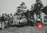 Standbild Motorlose Segelflugzeuge Elmira New York USA, 1931, aus Sekunde 19 historischem Filmmaterial Videoclip 65675022477