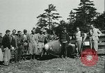 Standbild Motorlose Segelflugzeuge Elmira New York USA, 1931, aus Sekunde 22 historischem Filmmaterial Videoclip 65675022477