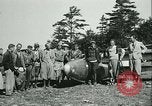 Standbild Motorlose Segelflugzeuge Elmira New York USA, 1931, aus Sekunde 28 historischem Filmmaterial Videoclip 65675022477