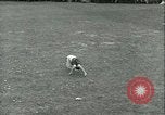 Immagine di Mayday celebrazione Dearborn Michigan Greenfield Village USA, 1930, secondo 14 filmato di repertorio 65675022482