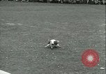 Immagine di Mayday celebrazione Dearborn Michigan Greenfield Village USA, 1930, secondo 23 filmato di repertorio 65675022482