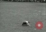 Immagine di Mayday celebrazione Dearborn Michigan Greenfield Village USA, 1930, secondo 41 filmato di repertorio 65675022482