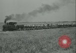 Immagine di Campo di canna da zucchero Taiwan, 1958, secondo 8 filmato di repertorio 65675022486