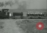 Immagine di Campo di canna da zucchero Taiwan, 1958, secondo 11 filmato di repertorio 65675022486
