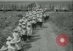Immagine di Campo di canna da zucchero Taiwan, 1958, secondo 15 filmato di repertorio 65675022486