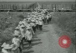 Immagine di Campo di canna da zucchero Taiwan, 1958, secondo 16 filmato di repertorio 65675022486