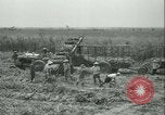 Immagine di Campo di canna da zucchero Taiwan, 1958, secondo 34 filmato di repertorio 65675022486