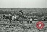 Immagine di Campo di canna da zucchero Taiwan, 1958, secondo 35 filmato di repertorio 65675022486