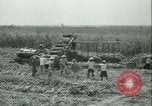 Immagine di Campo di canna da zucchero Taiwan, 1958, secondo 37 filmato di repertorio 65675022486
