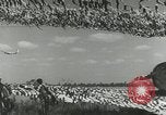 Standbild getarnt Feld United States USA, 1941, aus Sekunde 11 historischem Filmmaterial Videoclip 65675022502