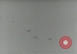 Image of U.S. soldiers fire antiaircraft gune during Air raid drill United States USA, 1941, second 57 stock footage video 65675022505