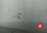 Image of gliders in flight Germany, 1931, second 7 stock footage video 65675022514