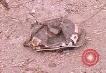 Standbild Krieg Wrack Saigon Vietnam, 1968, aus Sekunde 6 historischem Filmmaterial Videoclip 65675022564